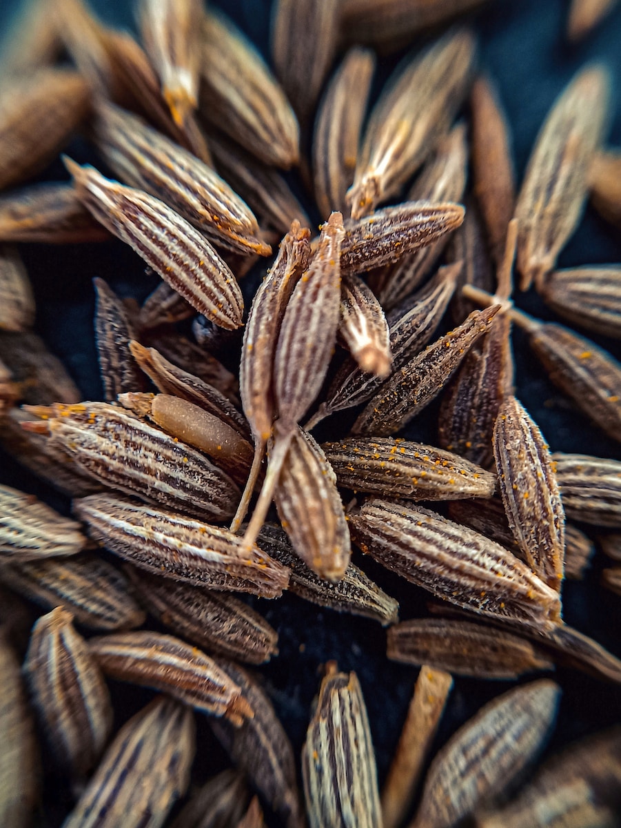 anise seeds